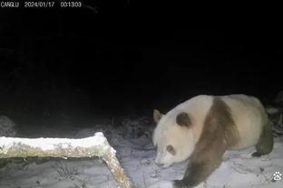 雷竞技怎么下载苹果版截图2